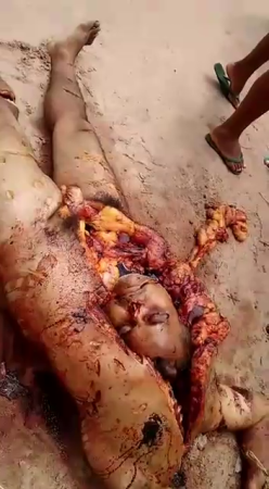 Creative Killers Put The Severed Head Of The Victim In The Gutted Body
