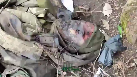After The Battles In The Avdiivka Direction, Forest Belts Are Strewn With The Bodies Of Ukrainian Militants