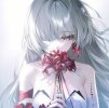 dyqel