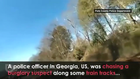 Cop cut via train