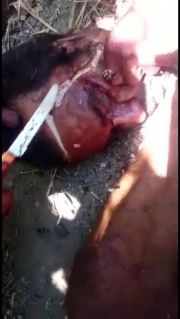 Group butchered man