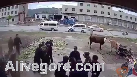 Five cop fiercely beat helpless lady
