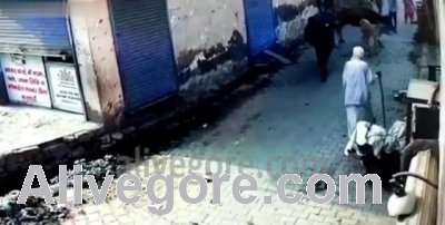 Old Man Killed By Bull » UncensoredVideo - Latest News Without Censorship