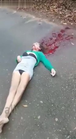 Tranny Dead in the Road with Pool of Blood from Head Wound