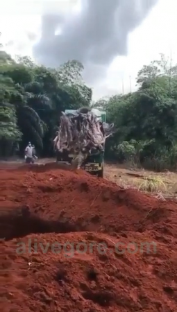 Dump Truck Dumping Dried Up Corpses Near Mass Grave