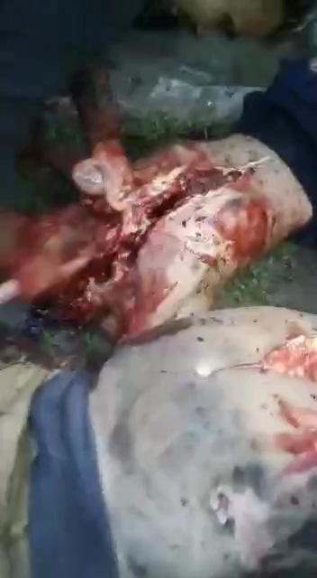 Group Of Enemies Being Eviscerated » UncensoredVideo - Latest News Without Censorship