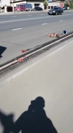 2 People Smeared in the Road