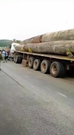5 Killed After Car Hit a Logging Truck