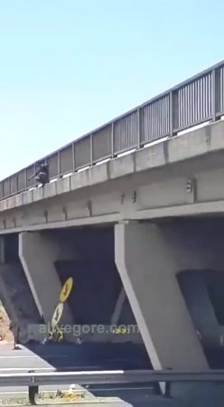 A Suicidal Man Fell In Front Of A Car Off A Bridge
