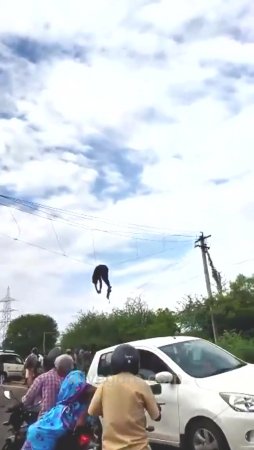 Guy Hanging Dead On Wires In Traffic Accident