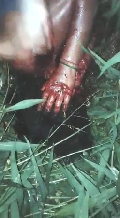 Girl Is Violently Stabbed To Death