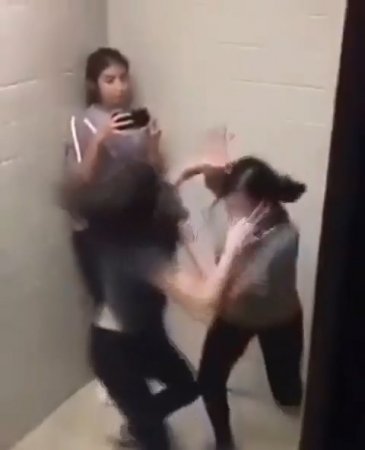 Two Furious Girls Fight In The Toilet