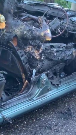 A Burned-out Car With A Corpse Inside Was Found In The Forest