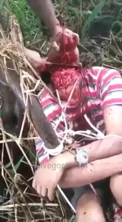 Brazilian Gangsters Decapitate An Opponent Tied To A Tree