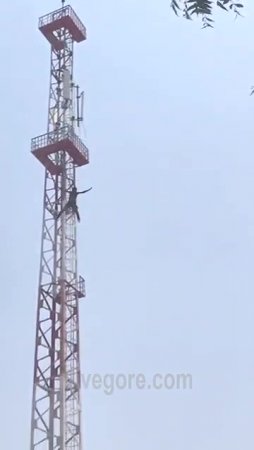 Suicide Jumped From A Cell Tower