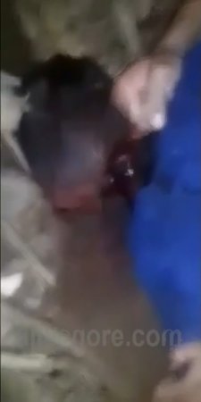 Dude Tries To Cut Off The Head Of A Corpse With A Broken Plate