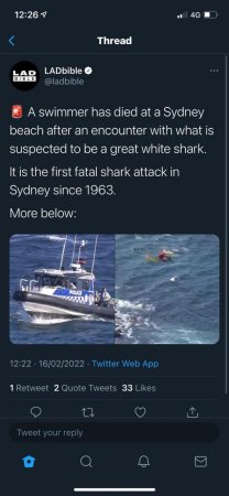 Half Of A Man In A Wetsuit Was Eaten By A Shark