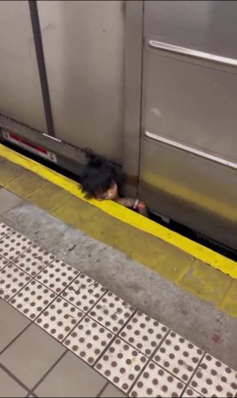 Woman Crushed Between Train And Platform In Nyc Subway