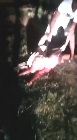 Cartel Members Brutally Murdered And Beheaded Two Women