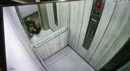 Pit Bull Bites A Woman » UncensoredVideo - Latest News ...