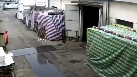 Dude Crushed By Forklift While Walking To Work