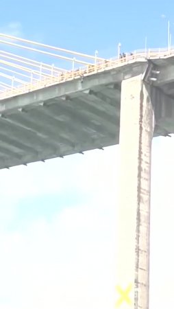 Suicide Fell Off A Bridge