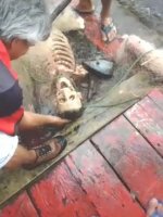 Fishermen Caught A Decomposed Body In A Net