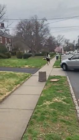 Man Deliberately Runs Over Woman In New Jersey