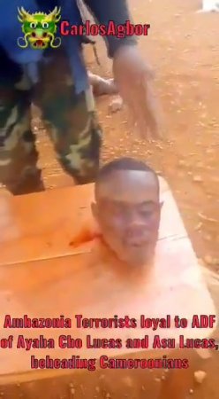 Terrorists In Nigeria Behead A Prisoner