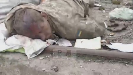 Soldier Of The Ukrainian Army Shot In The Back Of The Head