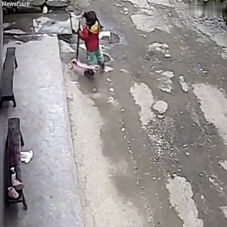 A 3-year-old Girl Was Attacked By A Wild Monkey And Dragged Away