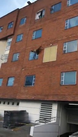 A Fat Woman Fell Out Of A 5th Floor Window