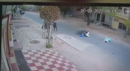 The Bull Ran Across The Motorcyclist
