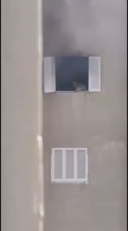 Man Falls Out Of Window While Trying To Escape Fire
