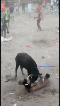Bull Throws Naked Man Like A Doll