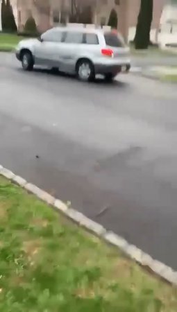 A Car Driver Runs Over A Woman Several Times