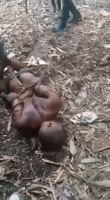 A Man Is Tortured By Dripping Melted Cellophane On His ...