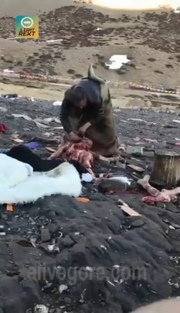 All The Meat Is Cut Off From The Woman's Body And The Bones Are Chopped Off