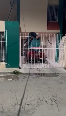 The Thief Fell On The Pointed Bars Of The Fence