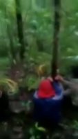 Three Men Chained To A Tree Were Beaten With Clubs