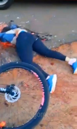 Woman On A Pink Bicycle Crushed By A Truck