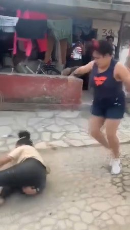 Violent Fight Between Two Women