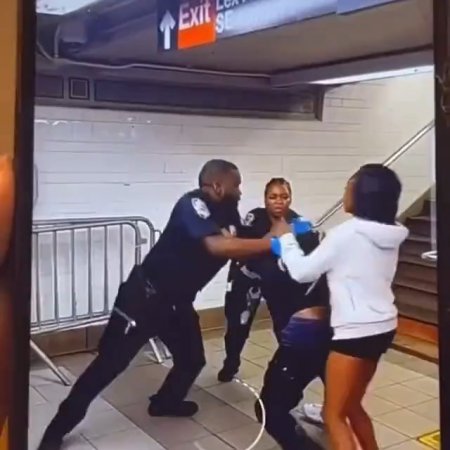 A Fight In The Subway Between Two Niggers, One Of Them A Cop