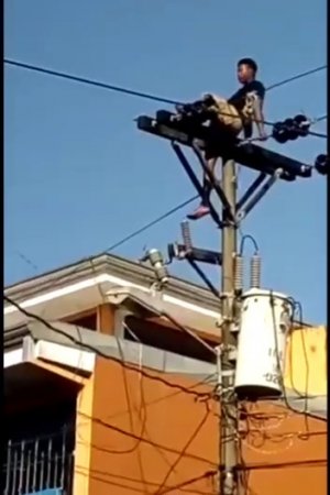 The Idiot Climbed The Electric Pole And Was Naturally Electrocuted