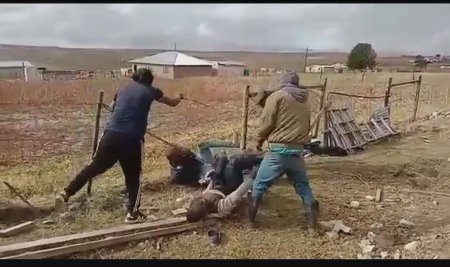 Farmers Flogged Several Thieves