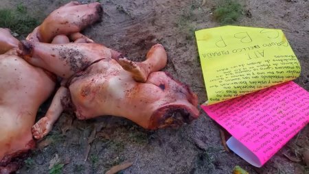 Mexican Cartel Dismembered 2 Women And Left A Message