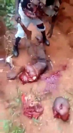 Man Butchered By Nigerian Rebels In A Forest In Awo-omamma