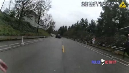 Seattle Cops Shoot A Naked Dude On The Road