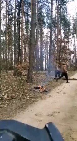 A Couple Of Idiots Trying To Break A Huge Log