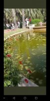 A psycho beats a woman in a city fountain